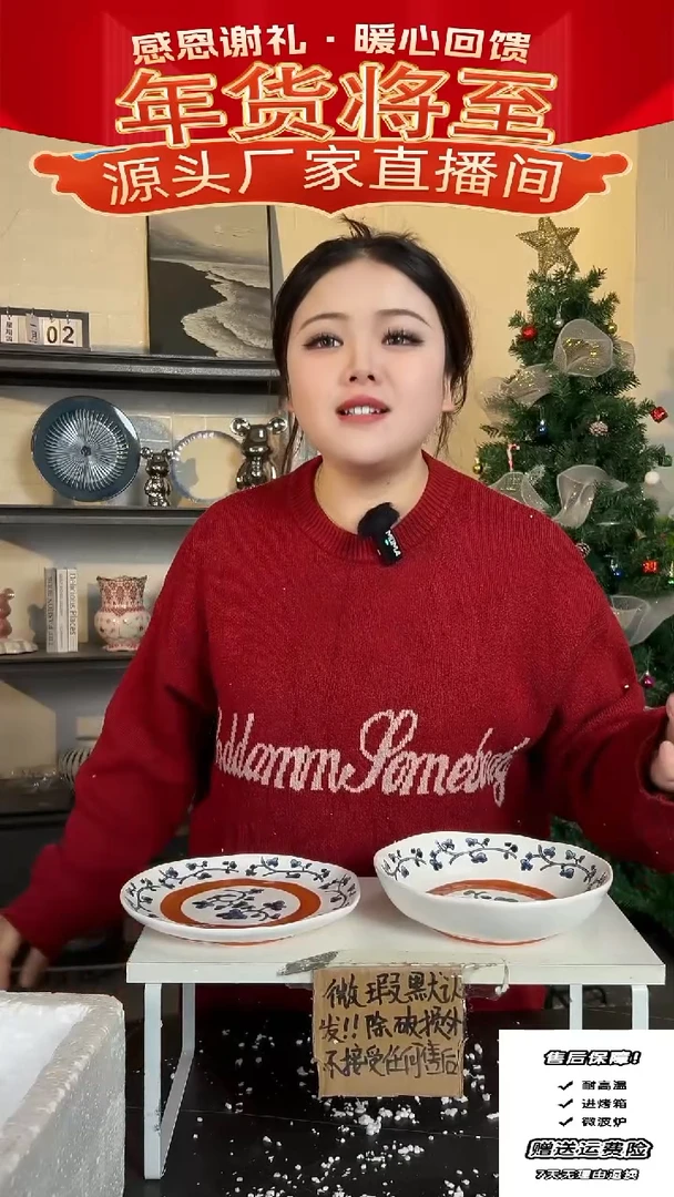 【闪购商品】瓷濑户烧-盘子2件套