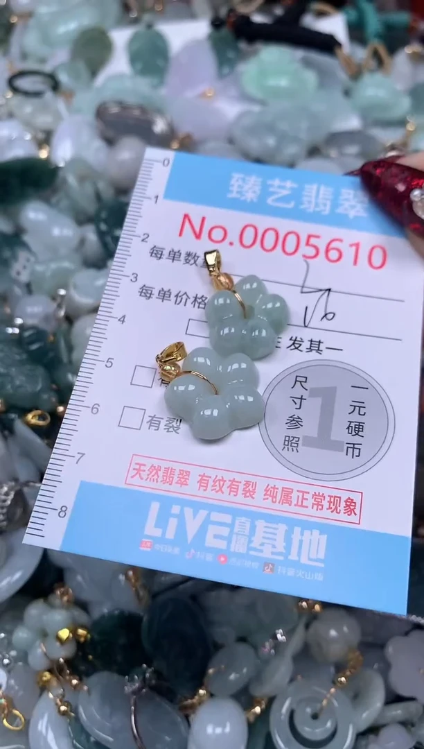 颈饰未镶嵌翡翠5610