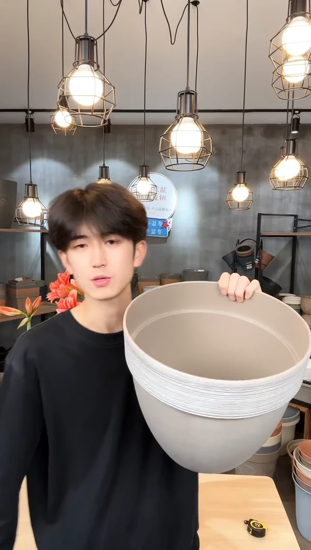 萨米特矮胖混色2只带内网