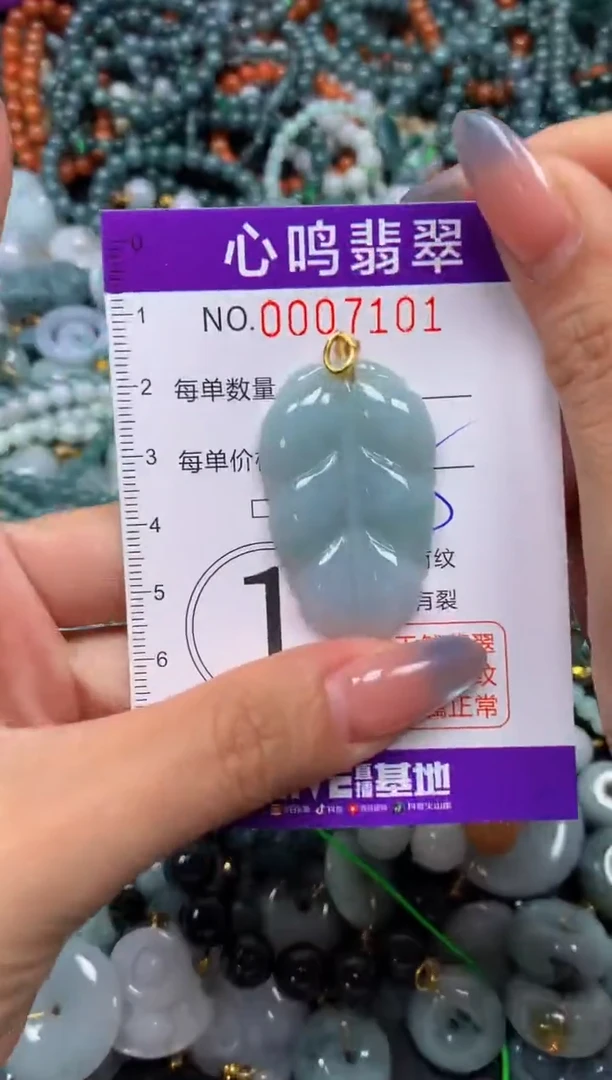 颈饰未镶嵌翡翠闪购007101