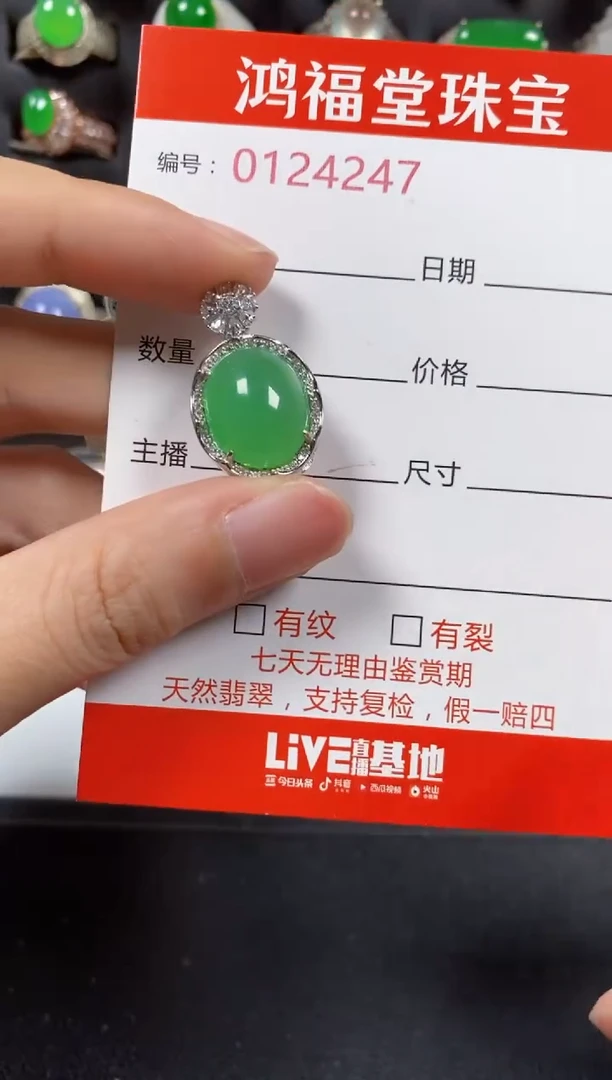 颈饰银S925镶嵌翡翠4247