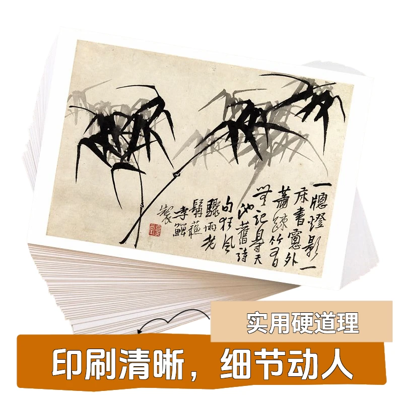 〔国画临摹卡名家合集兰竹小品〕水墨花卉画艺术培训高清印刷40幅