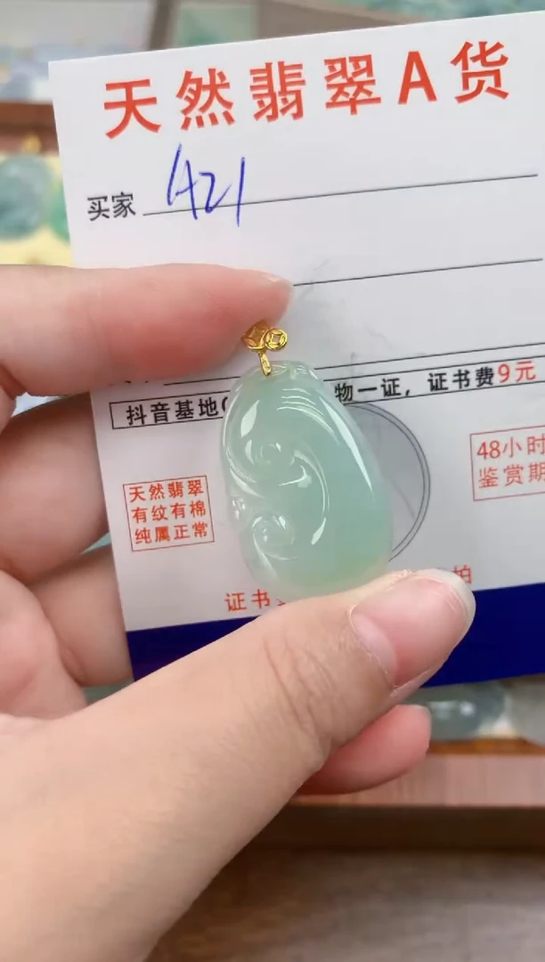 颈饰未镶嵌翡翠天然A货翡翠挂件