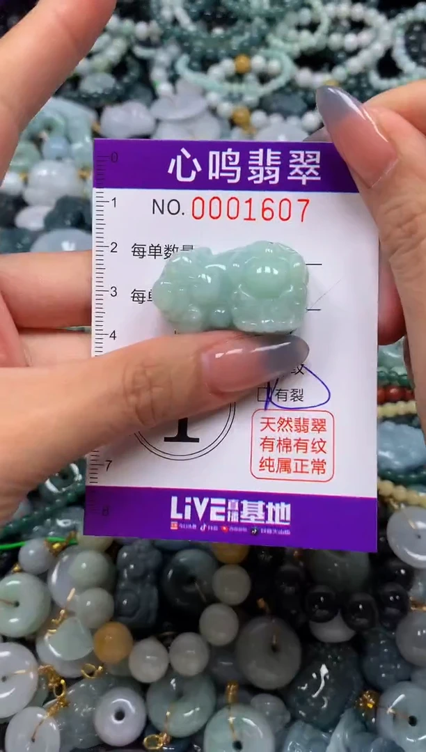 颈饰未镶嵌翡翠闪购001607