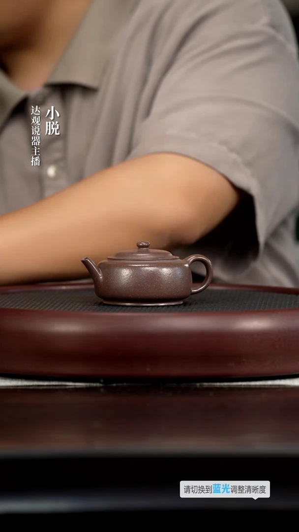 茶壶紫砂DG159董建忠彻悟·梦鲨皮青150