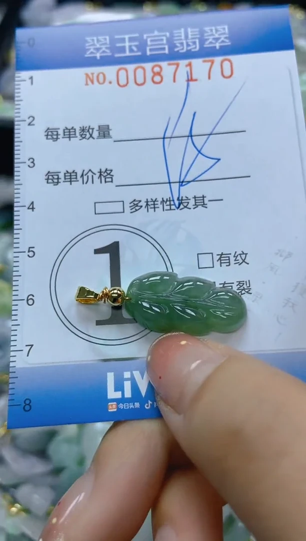 【闪购商品】翡翠颈饰未镶嵌闪购0087170