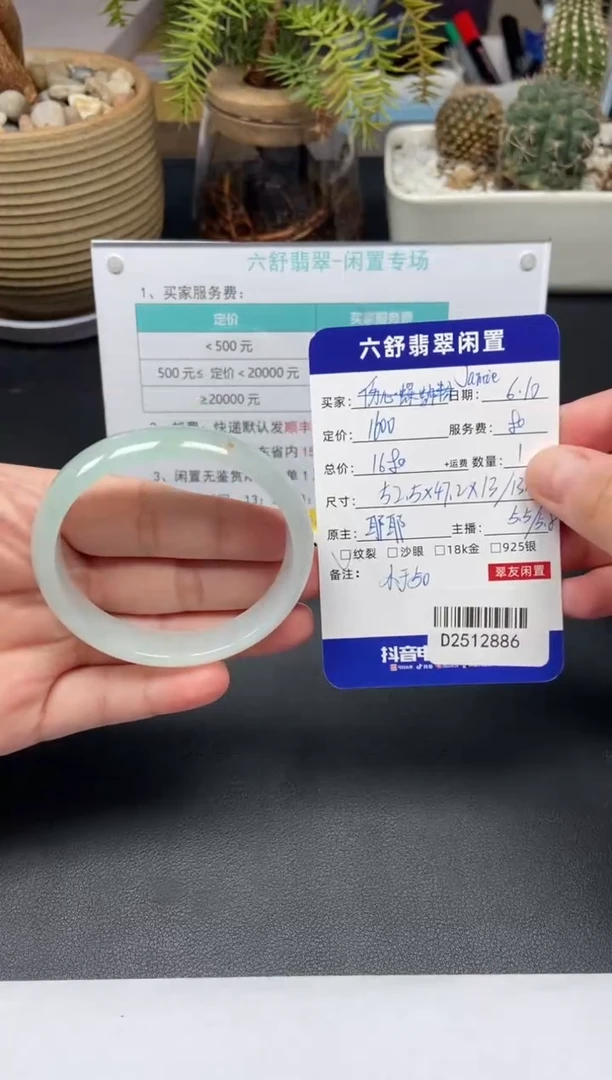 翡翠手镯未镶嵌D2512886