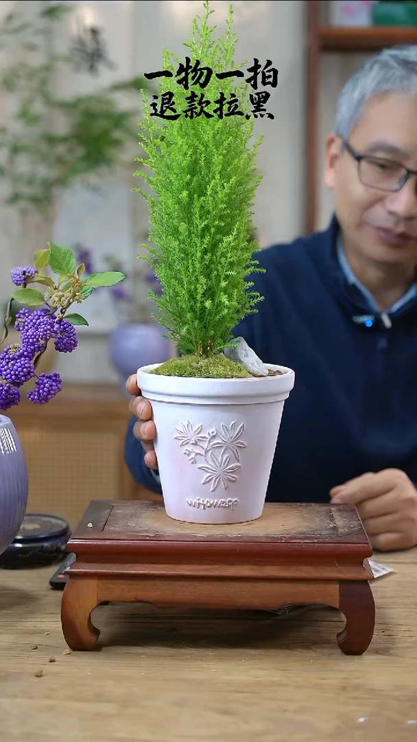 完全开放燃香松311