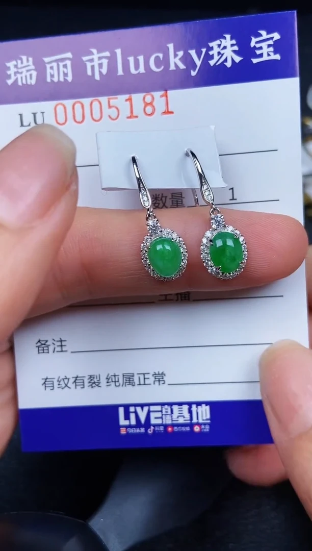 翡翠银S925镶嵌颈饰5181