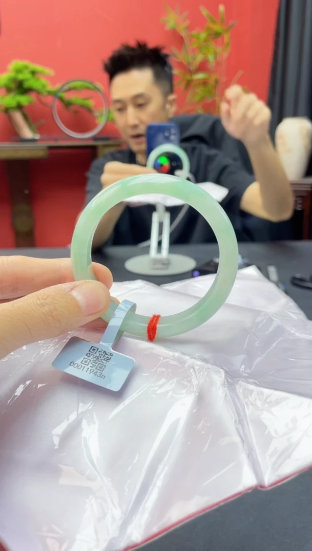 未镶嵌手镯翡翠9