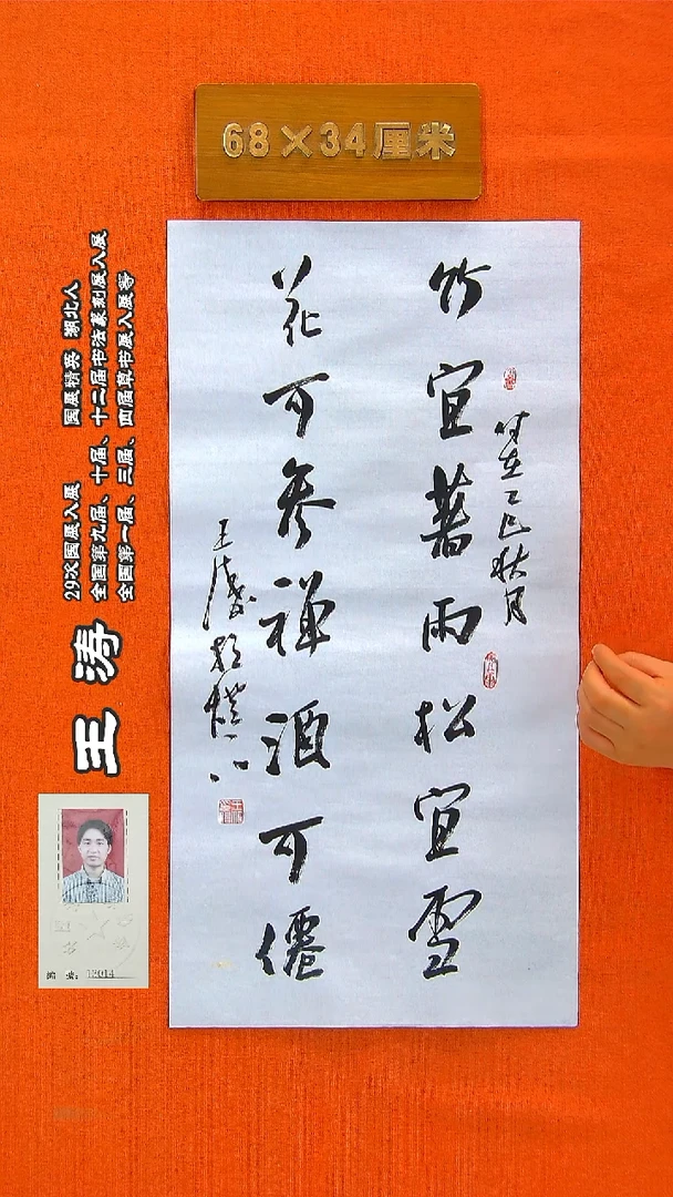 书法47a王涛书法作品