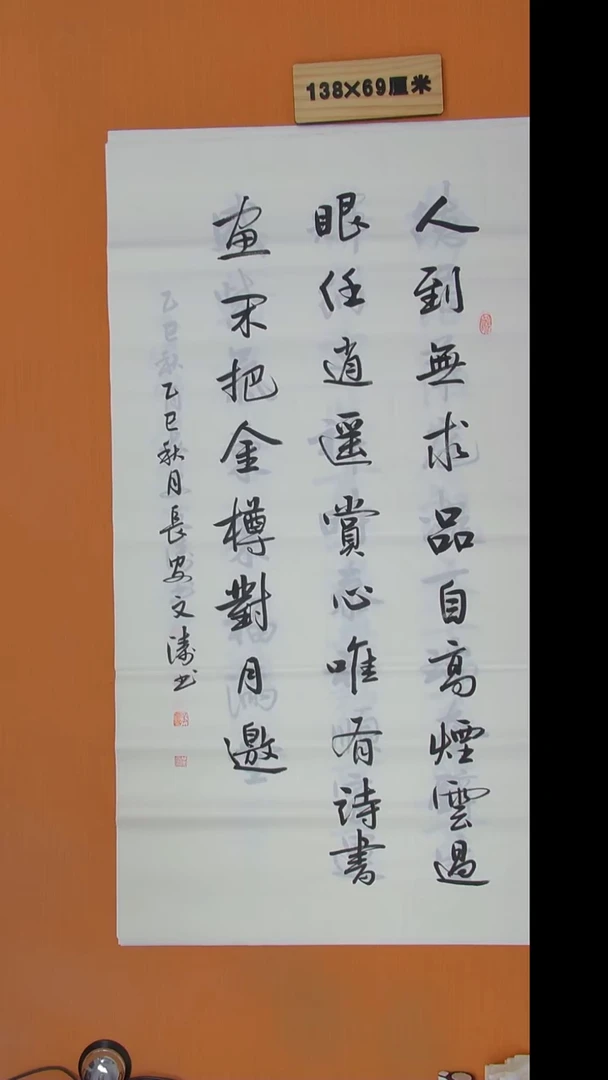 书法辛老师书法陕西西安138*69