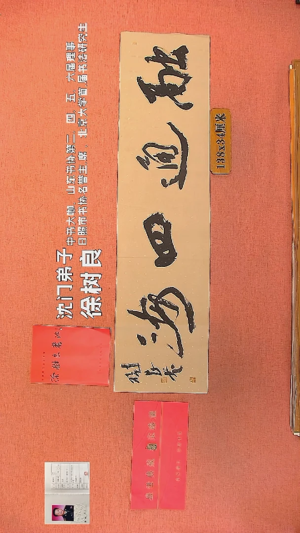 【闪购商品】书法52        徐树良书法作品