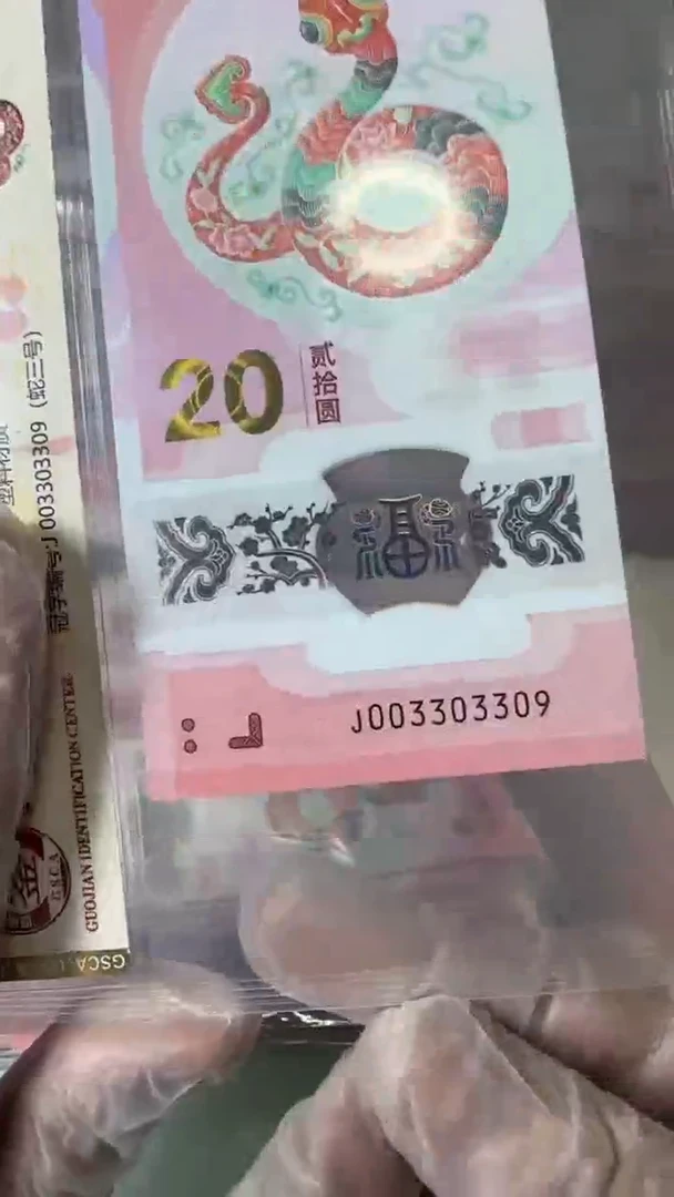 【闪购商品】塑料003303309-蛇钞单张！