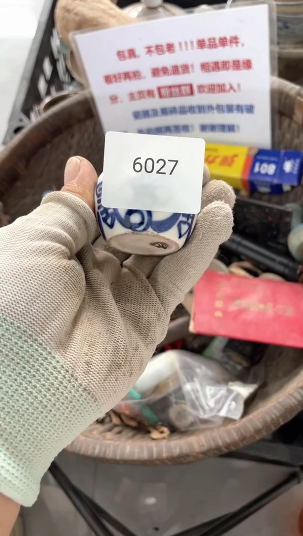 器556677882506016027