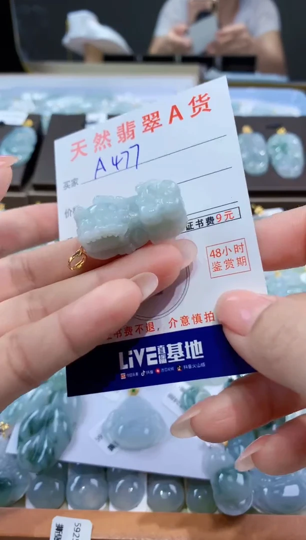 颈饰未镶嵌翡翠天然翡翠A货挂件