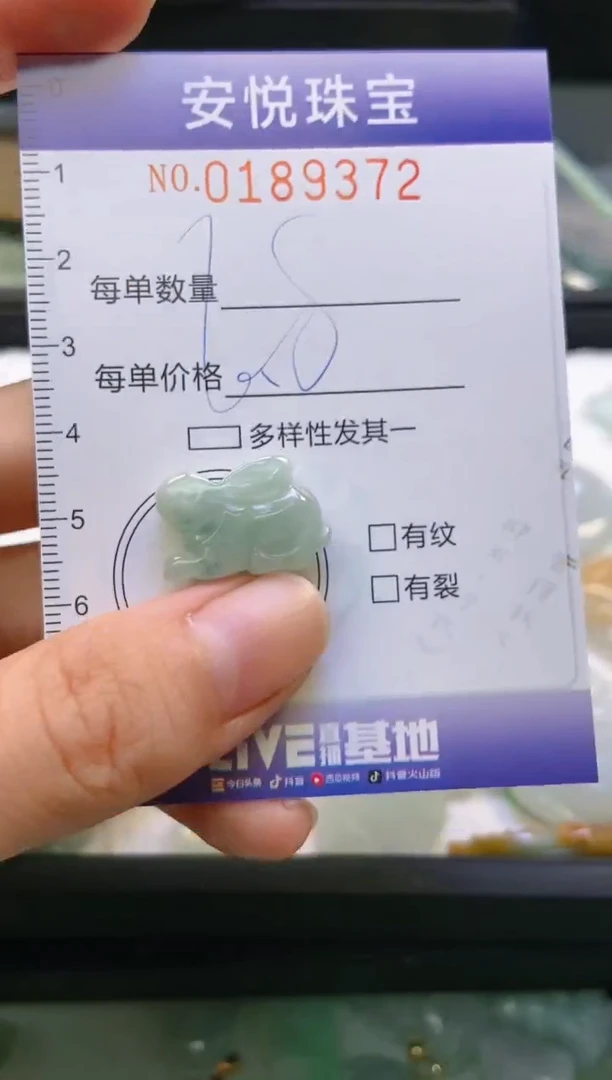 翡翠未镶嵌颈饰闪购0189372