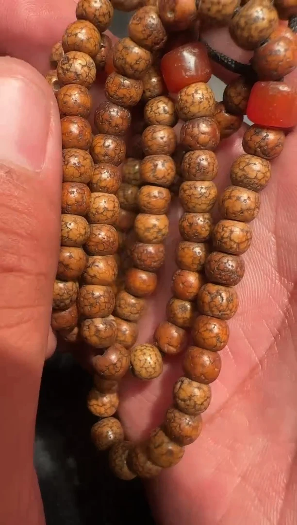 星月星月星月星月