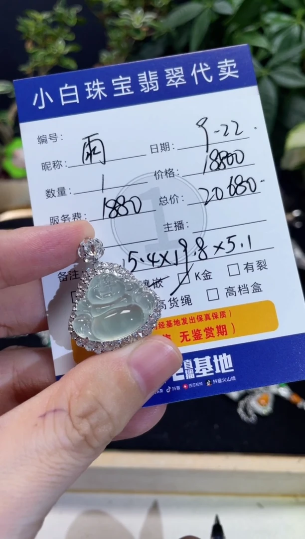 吊坠(不含链)18K金镶嵌翡翠雨*吊坠