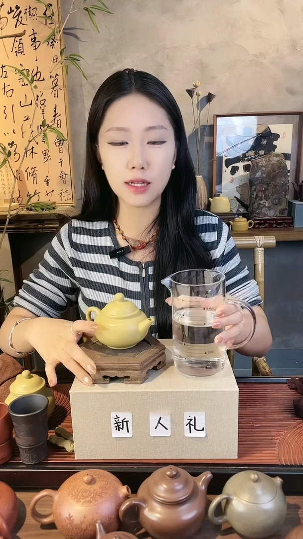 茶壶紫砂赵园静1950本山绿泥光器水平