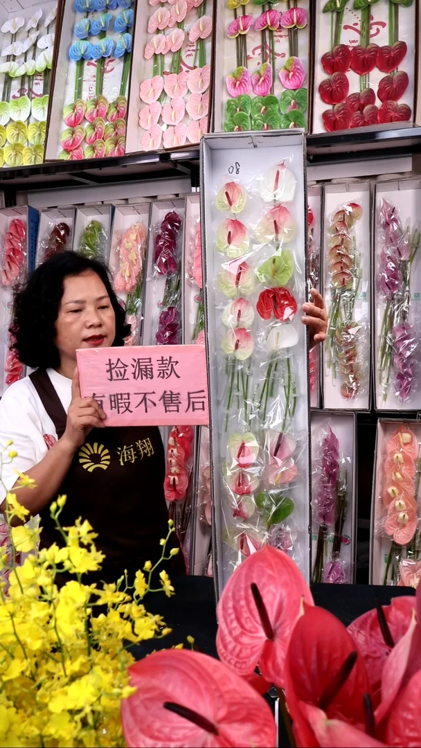 08混色迷你掌20支(15-20cm，横冠幅6cm)微瑕无售后慎拍！