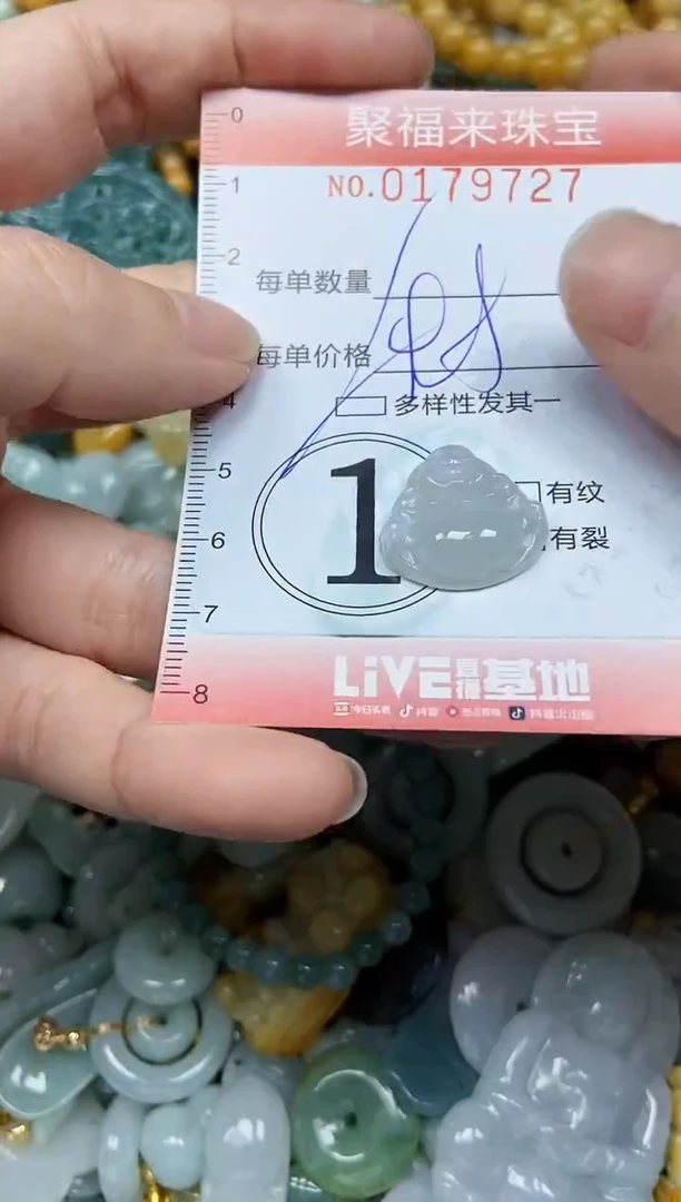 翡翠未镶嵌颈饰闪购0179727多样性发其一