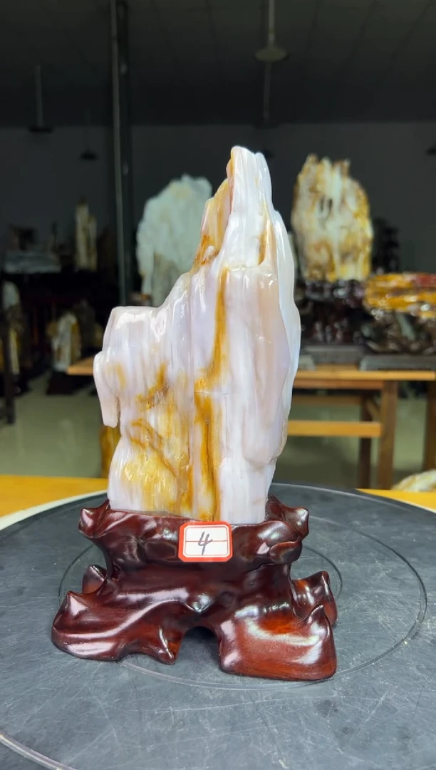 硅化玉珠宝奇石未镶嵌222