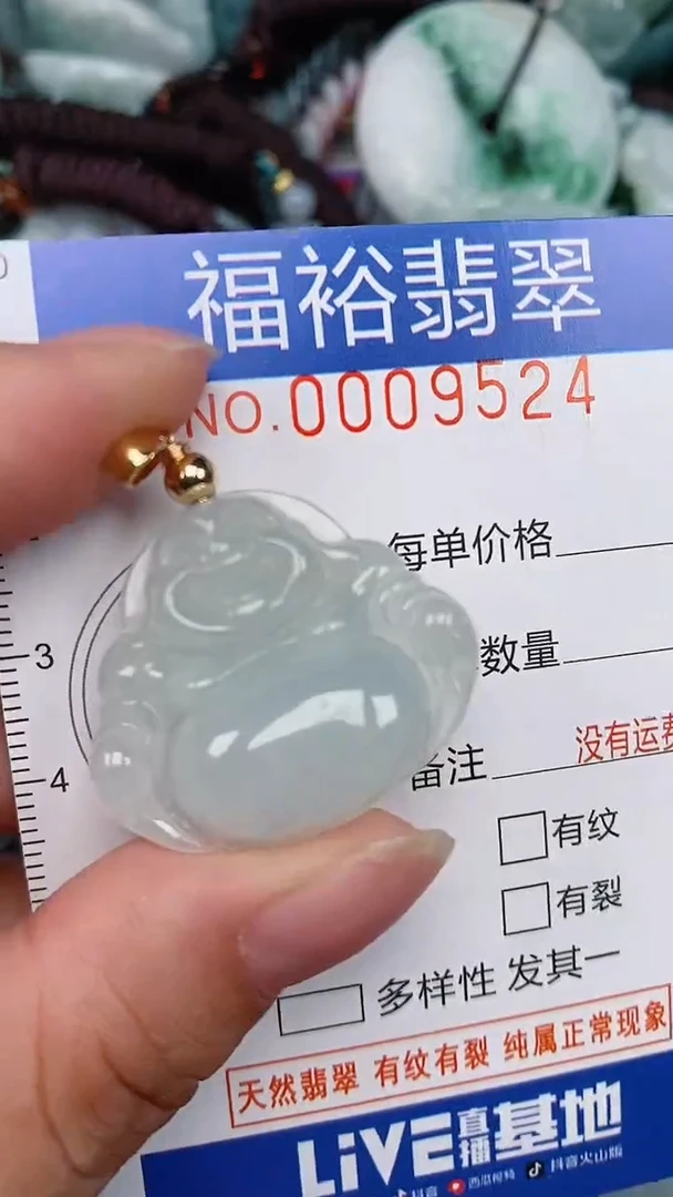 翡翠未镶嵌颈饰...0009524