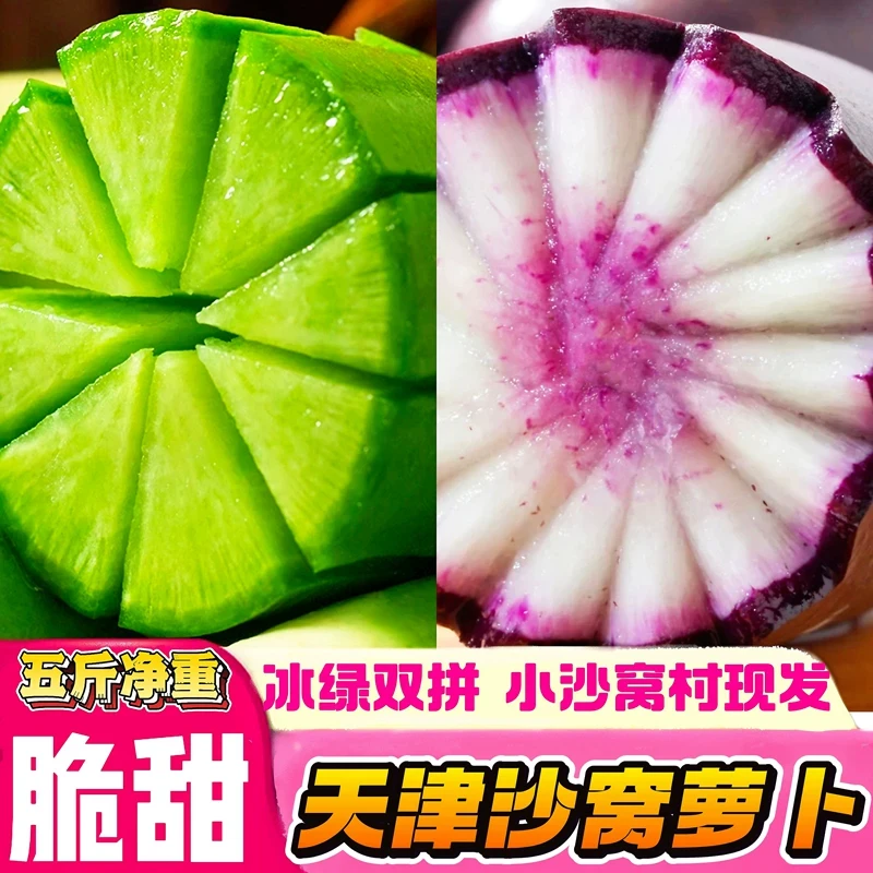 正宗天津辛口镇沙窝萝卜冰淇淋水果萝卜天星02号萝卜新鲜美味口感脆甜鲜嫩多汁原产地发货混搭