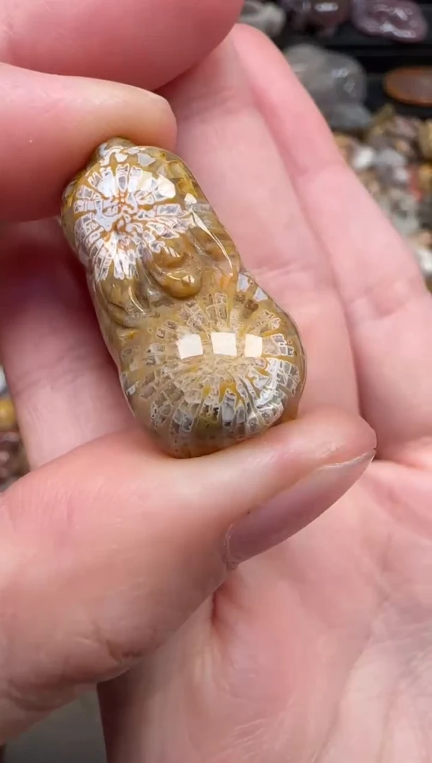 颈饰未镶嵌硅化珊瑚（珊瑚玉）223