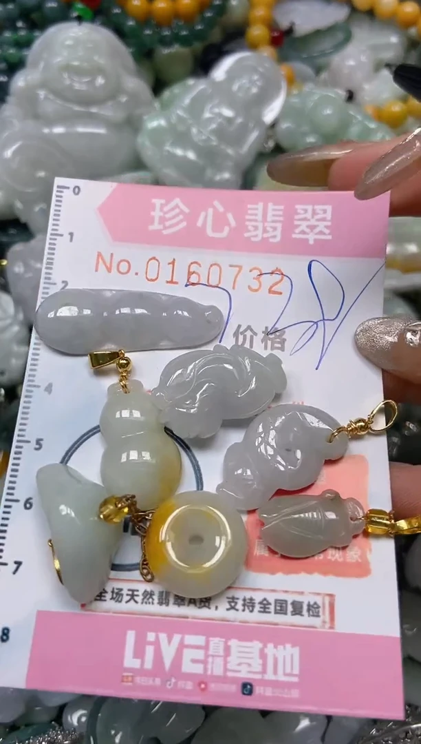 【闪购商品】翡翠颈饰未镶嵌闪购0160732