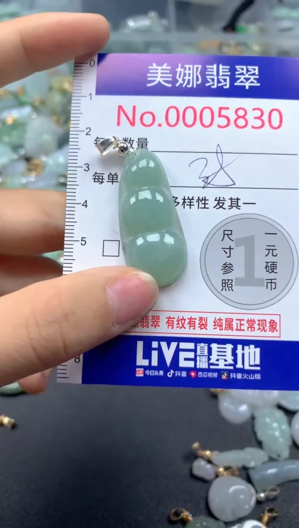 颈饰未镶嵌翡翠5830