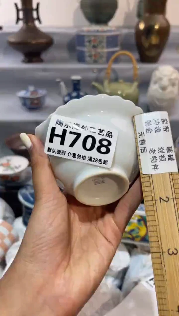 瓷片面**袋           H708