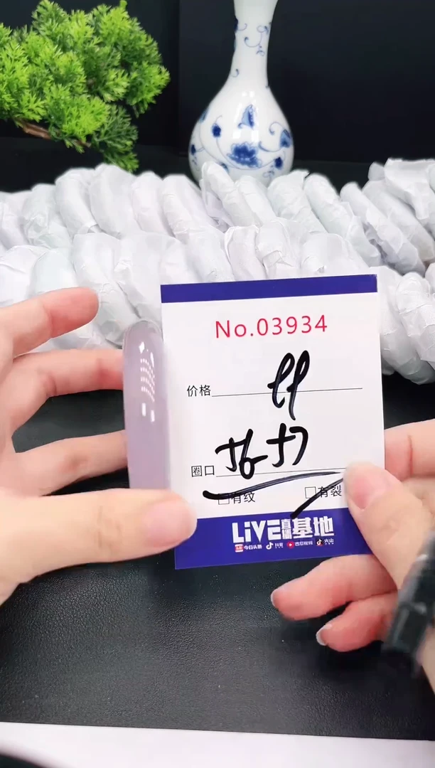 未镶嵌手镯翡翠3934