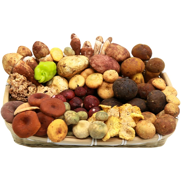 臻菌五种组合 新鲜菌1斤2斤 云南新野生菌松茸鸡枞见手青牛肝菌