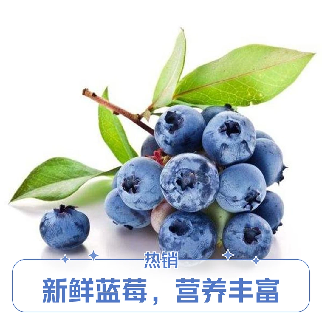 佳农蓝莓125g （12mm-14mm）云南蓝莓云南省玉溪市