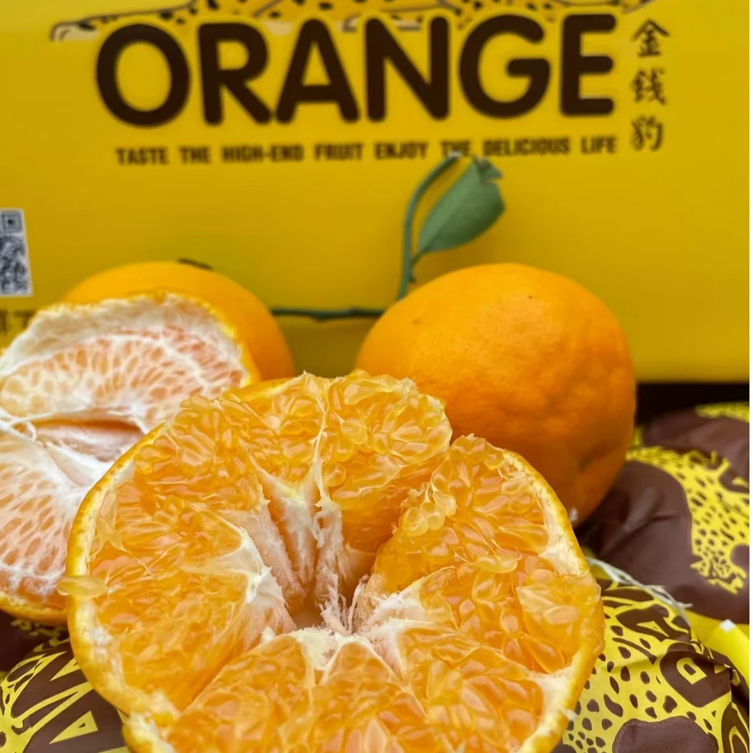 大箱【原箱】[N]金钱豹耙耙柑 箱/9斤左右 仅太原晋中吕梁忻州可拍