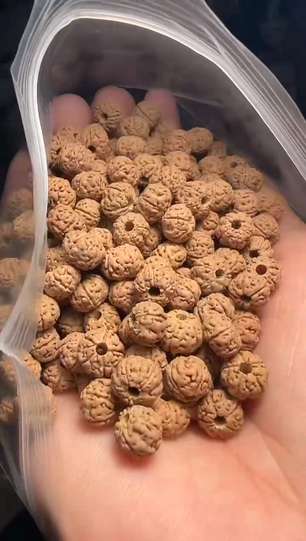 手串金刚菩提非全品老树王散籽8-9mm一份一百颗
