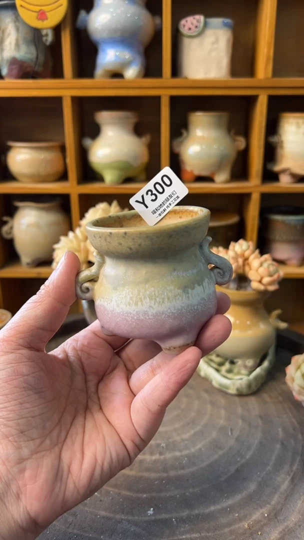 300 内口5.5【多肉花盆多肉盆】