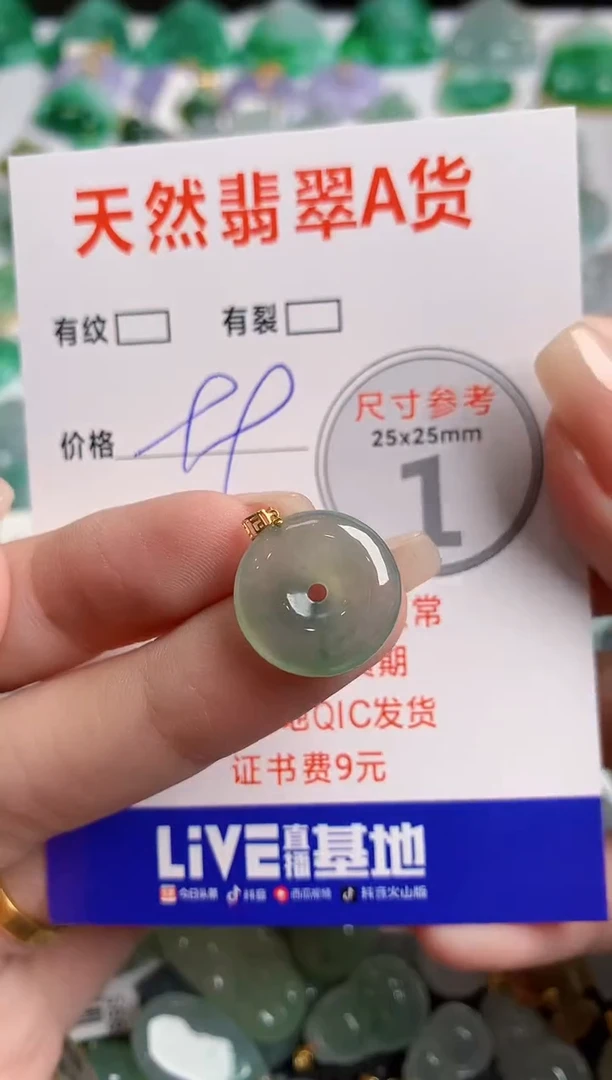 翡翠18K金镶嵌颈饰14006894