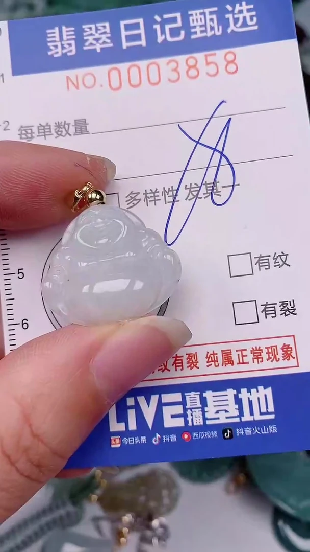 翡翠未镶嵌颈饰00003858