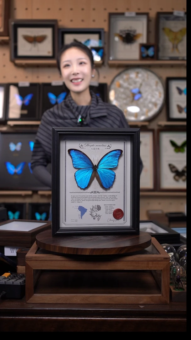 大蓝闪蝶豪华版10寸欧式框（带证书）