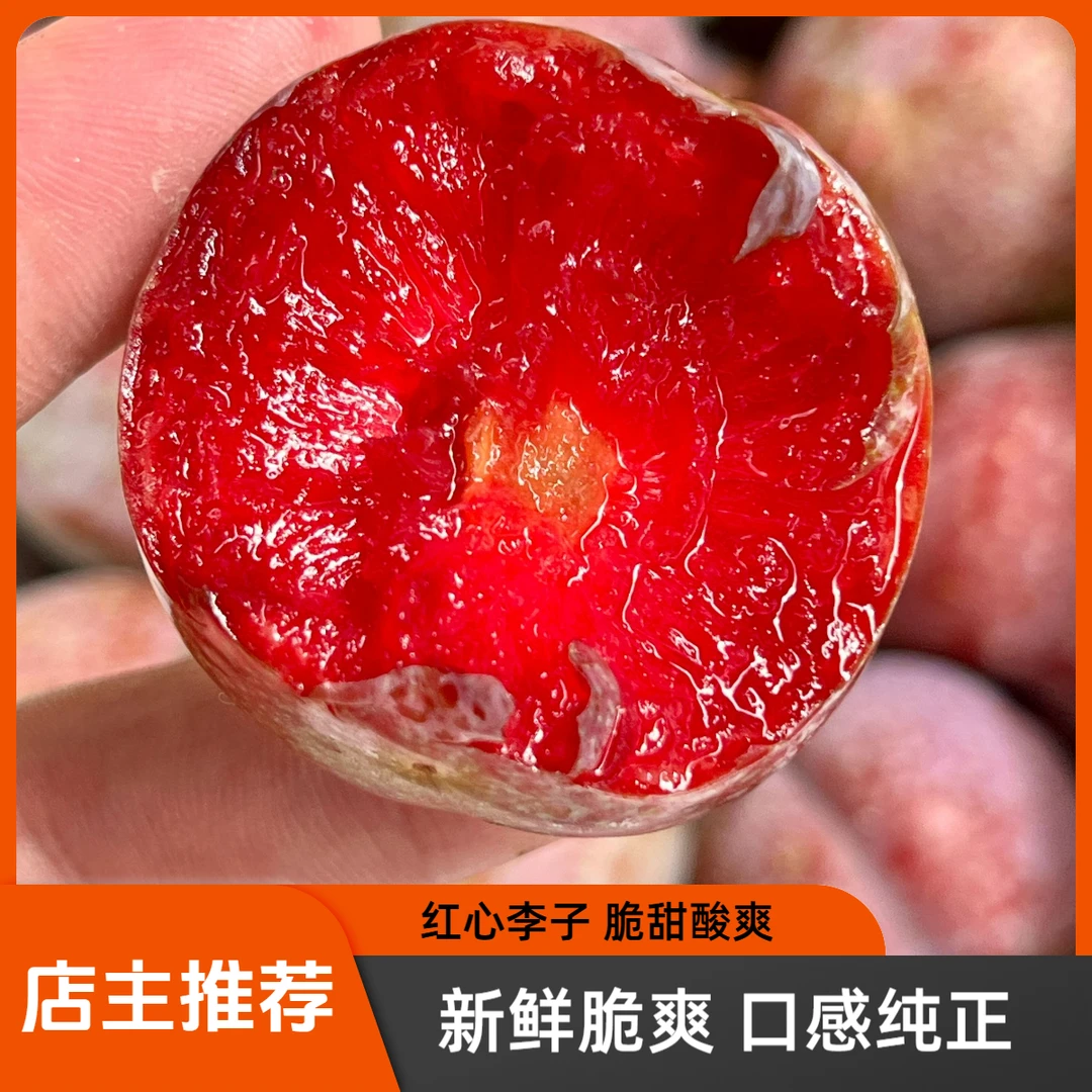 【送礼专属】正宗广东钱排银妃三华李子自家果园新鲜现摘酸脆爽口