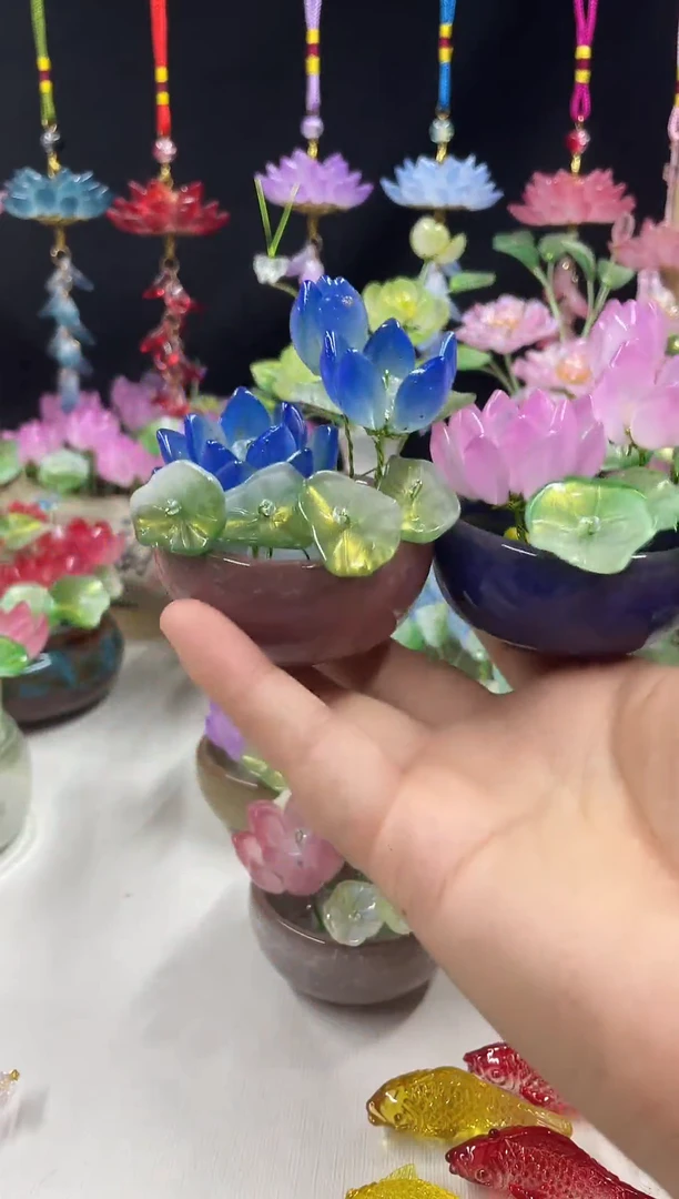 琉璃琉璃荷花小盆栽```````