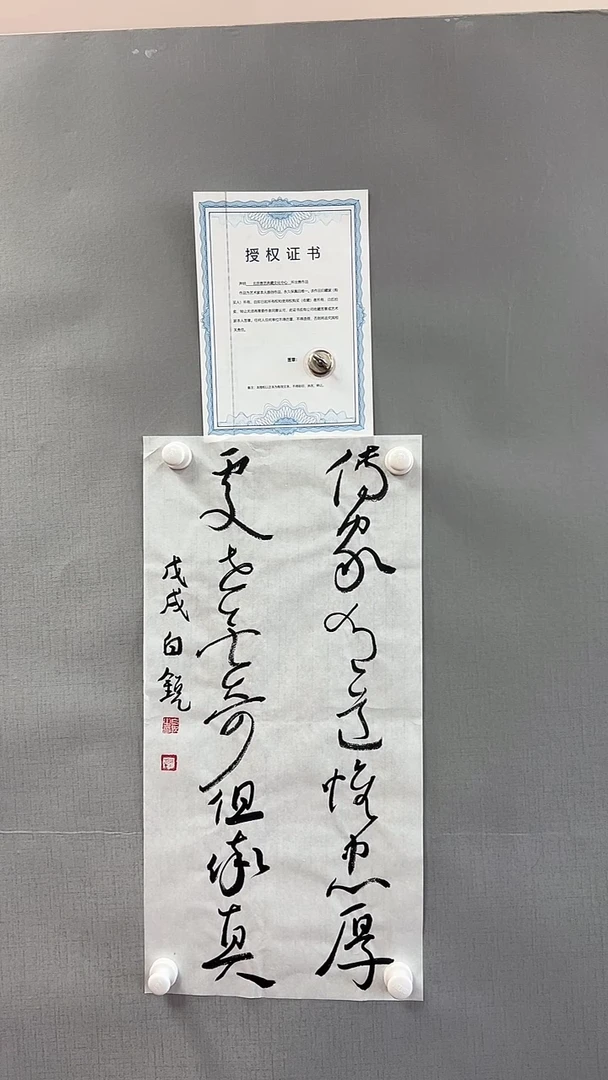【闪购商品】书法雅艺典藏文化书法