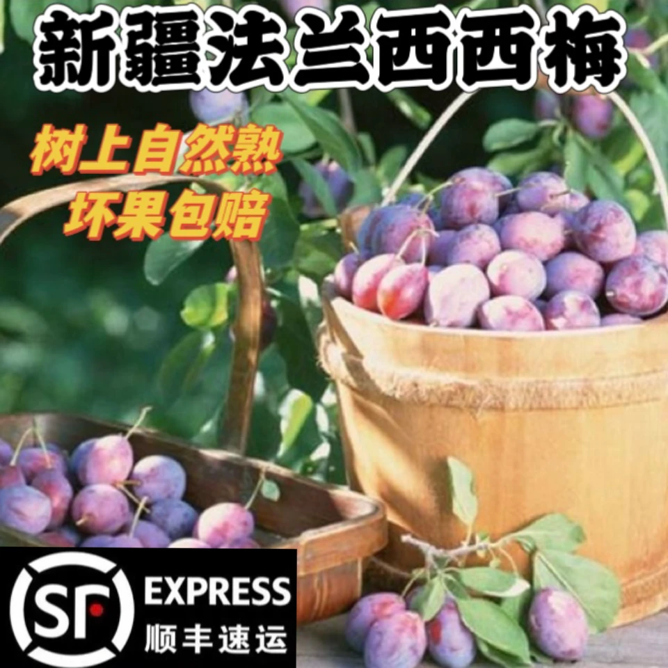 【顺丰】新疆喀什小西梅正宗法兰西纯甜无酸 新鲜水果 皮薄肉厚4斤