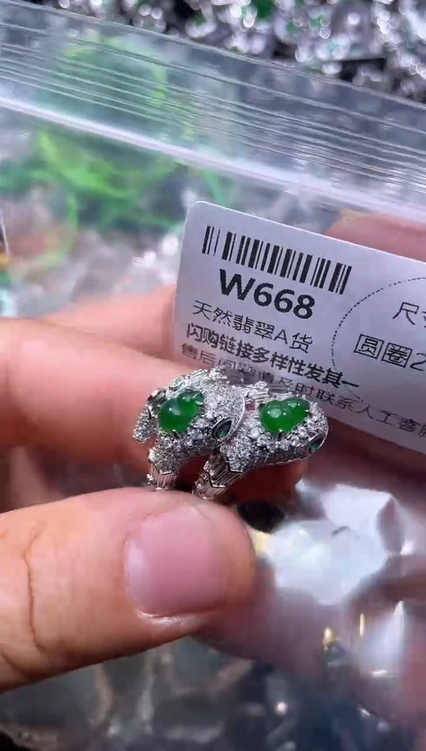 【闪购商品】翡翠颈饰未镶嵌W668戒指 多样性发其一