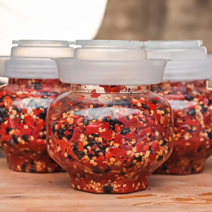 湖南正宗农家下饭菜野山椒豆豉