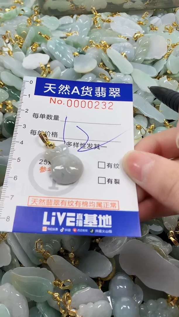 颈饰未镶嵌翡翠纯天然a货翡翠