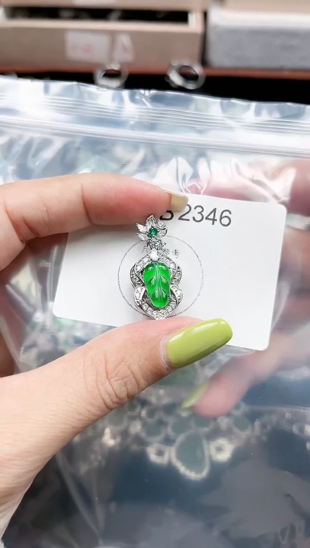 【闪购商品】翡翠颈饰未镶嵌赠皮绳2346